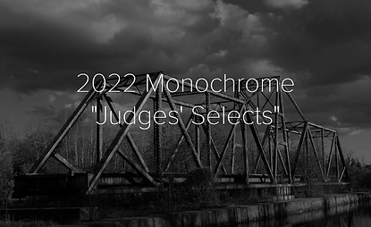 Screenshot (234).png