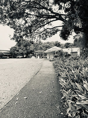 IMG_4602.jpeg