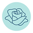 rose.png