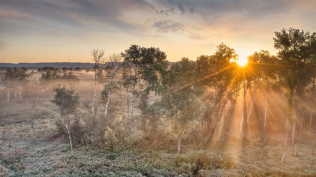 The Power of Gratitude: Finding Presence, Peace and Perspective