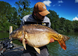 186457305_328145378732758_76096429198844