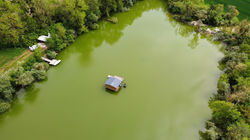 185945729_232494648641913_31960295183580