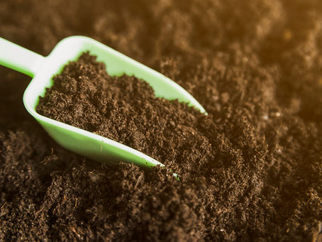 Los Retos Alimenticios para el Año 2050