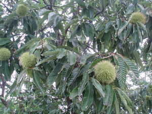 「また、会おうね💞」