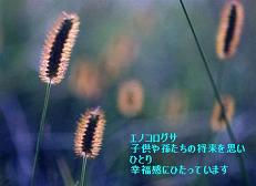 再び「心」を思う