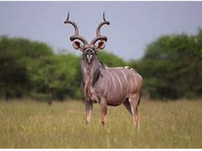 原山建郎の連載コラムです