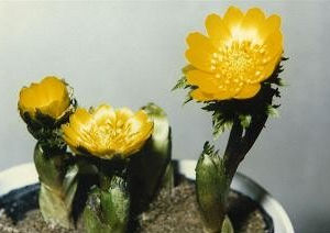 どこにも負けないヘルパー教育