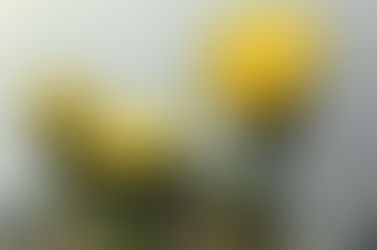 どこにも負けないヘルパー教育