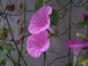 コロナ禍で、皆さん、本当に不安が強いと感じます