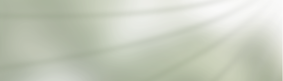 Gv-5-image.png