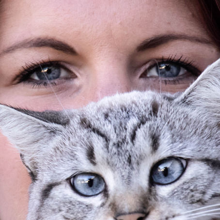 La Force Cachée Derrière les Apparences