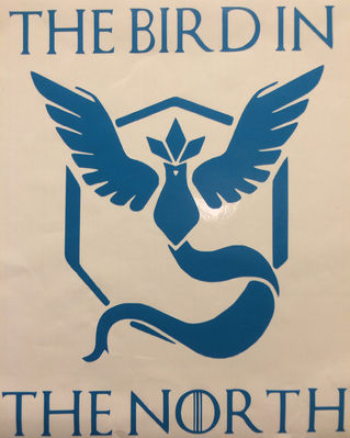 The Bird In the North
