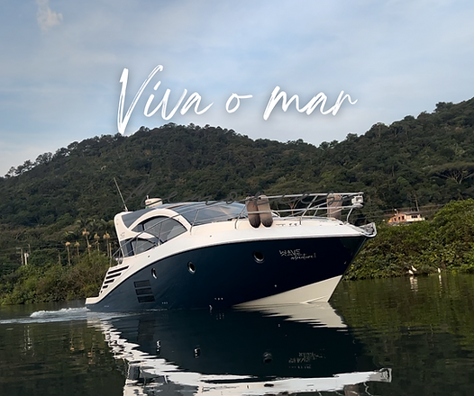 Viva o mar.png