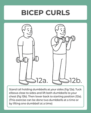 Bicep Curls.png