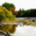 C0F02268-9324-4DD8-9174-141D84E6E164.JPG