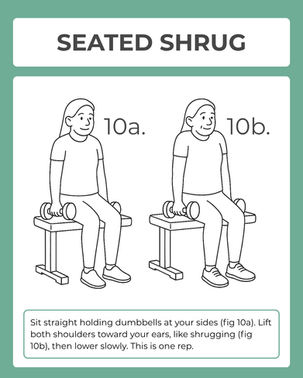 Senior doing seated dumbbell shrugs