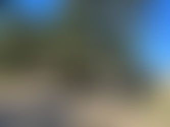 Connaissez-vous Cartier d’Allein?