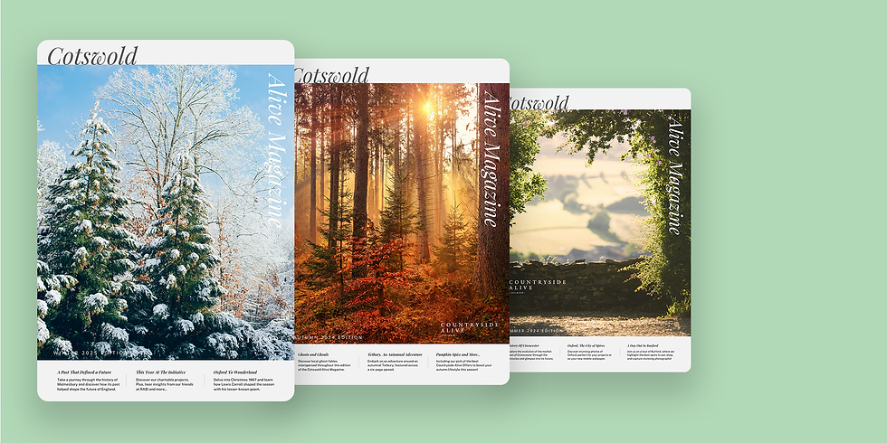 Creating for Print: A New Workflow