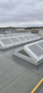 Skylight Refurbishment - Kitchener