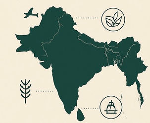 Building South Asia’s Regional Economy on Shared Values