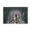 Thumbnail: Stoicism MEMENTO MORI Magnet, Marcus Aurelius Button Magnet