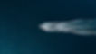 _edited.jpg