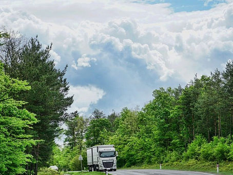 Dannenröder Forst darf kein rechtsfreier Raum sein