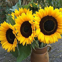 25A26B16-DC70-4ED2-B968-4DA124E7A1D5-122