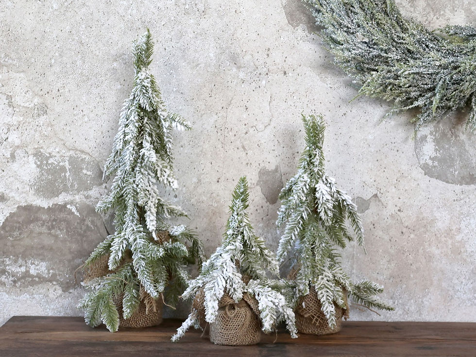 Miniatura: Pino innevato da appoggio