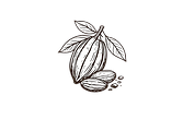 Cacao icon.png