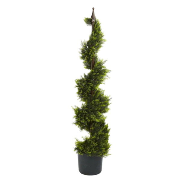 4' Cypress Spirial Silk Tree