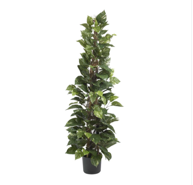 63" Pothos Climbing Silk Plant"