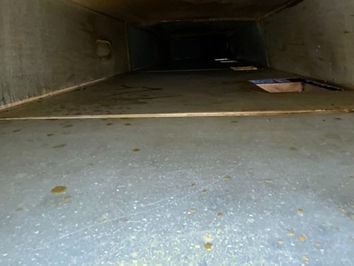 exduct b6