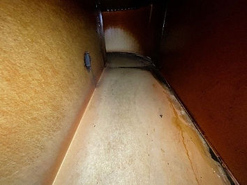 exduct b12