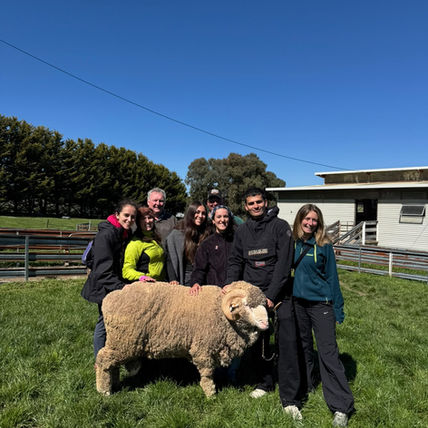 Dalla Nuova Zelanda all'Australia: Nel cuore della filiera della lana Merino
