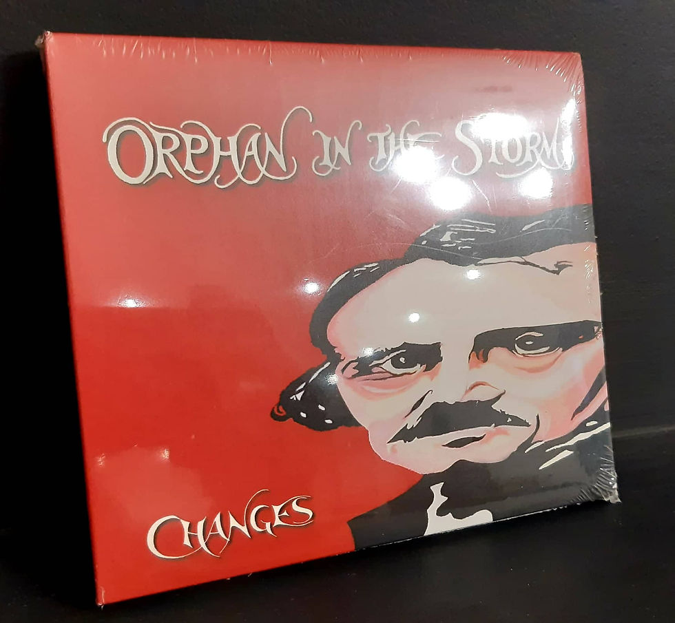 Changes ‎– Orphan In The Storm