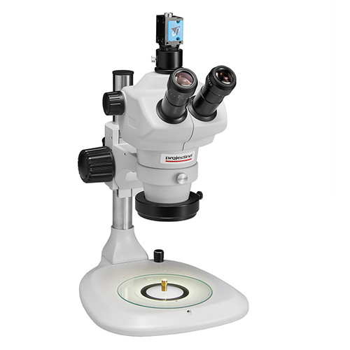 PROJECTINA PAG800 | Telectronics IT