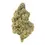 Thumbnail: Gold Spectrum THCA Flower 3.5g