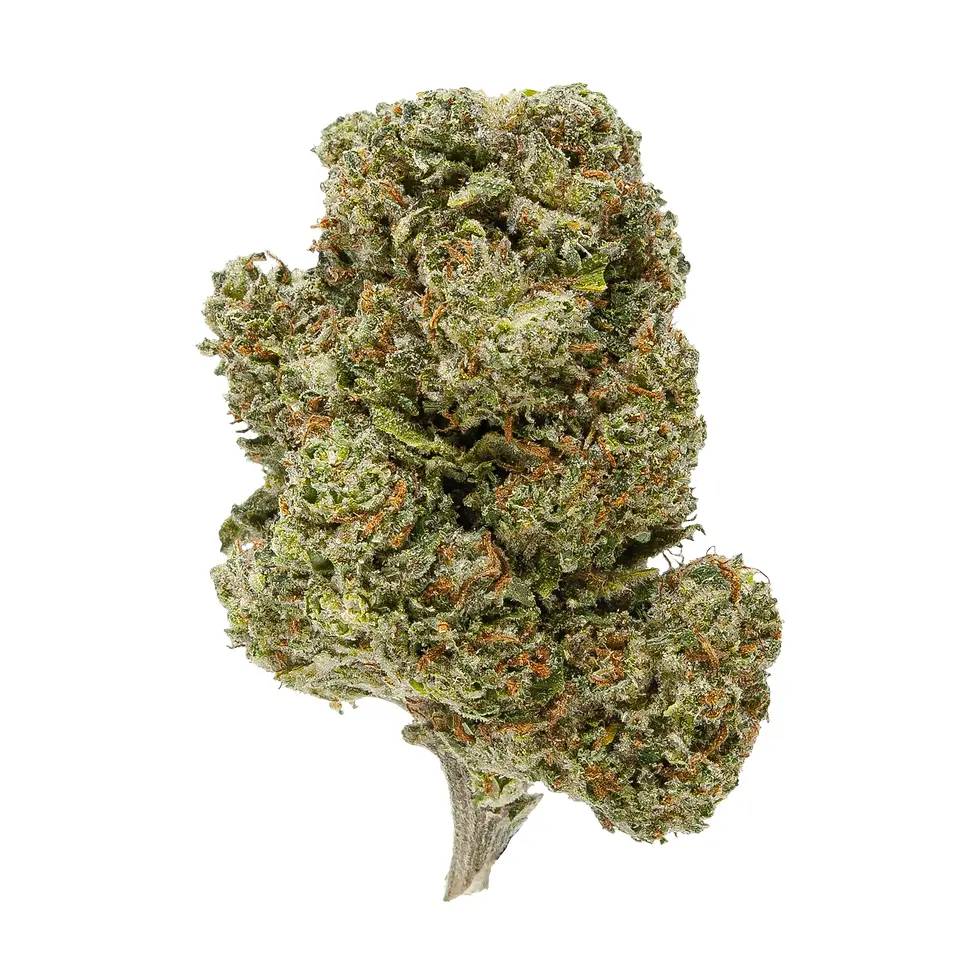 Gold Spectrum THCA Flower 3.5g
