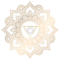 E533A7BE-47FA-4A63-98A5-39D955BE5164.PNG