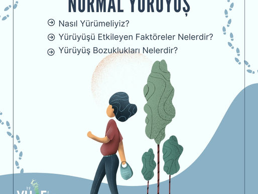 Normal Yürüyüş