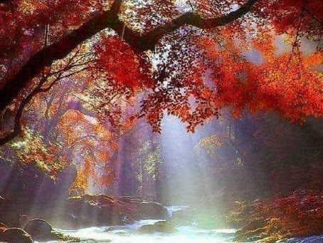 Prise de Conscience !