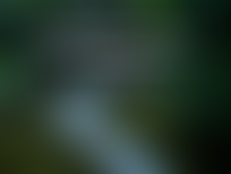 Tout commence par un choix.