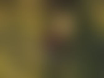 À ne pas perdre de vue !