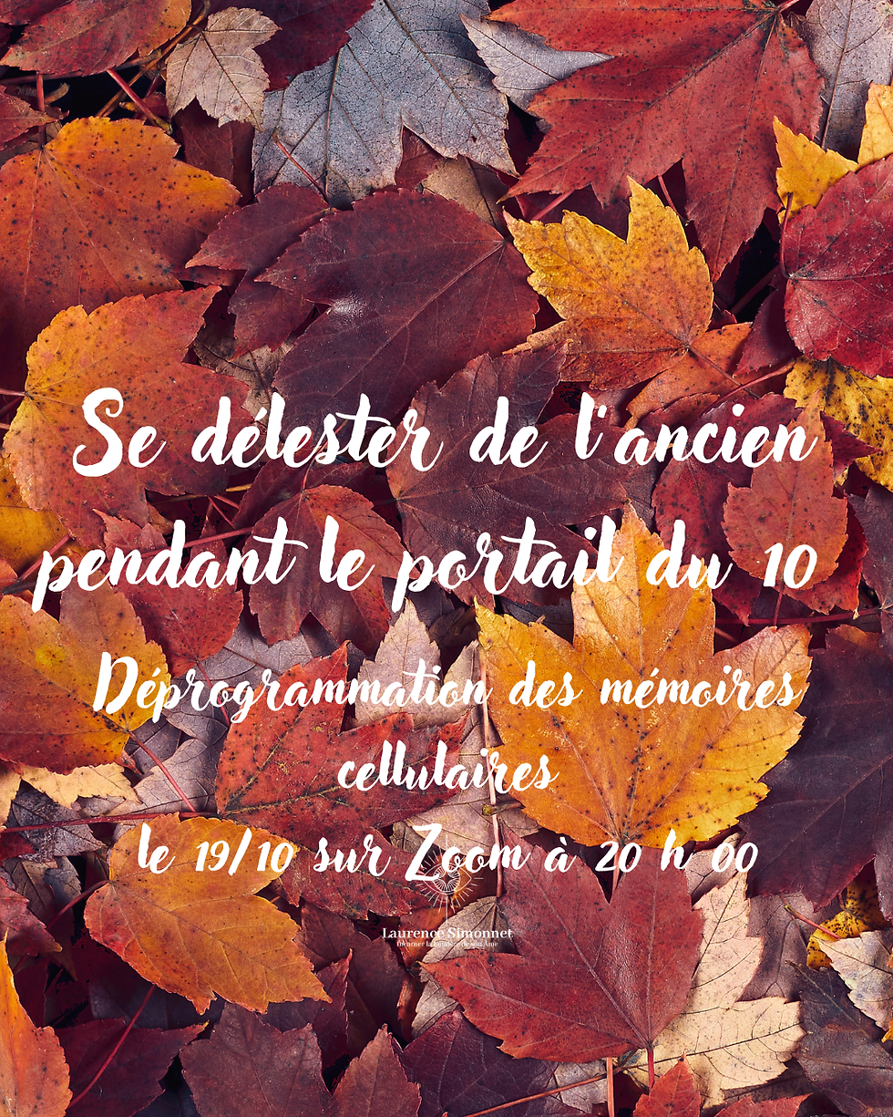 SE DELESTER DE L'ANCIEN PENDANT LE PORTAIL 10/10