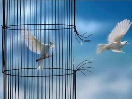 Nouvelle lune de Février