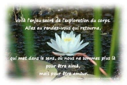 Le corps
