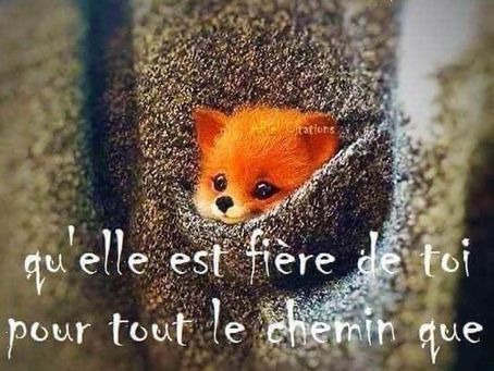 Message de ton Âme :