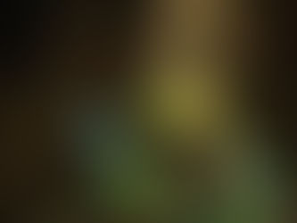 Les sensibles et les hypersensibles -2 -