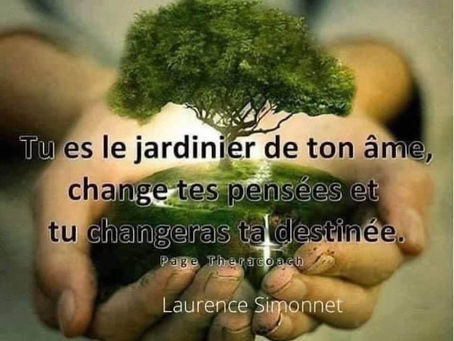 Tu es le Jardinier de ton Âme.